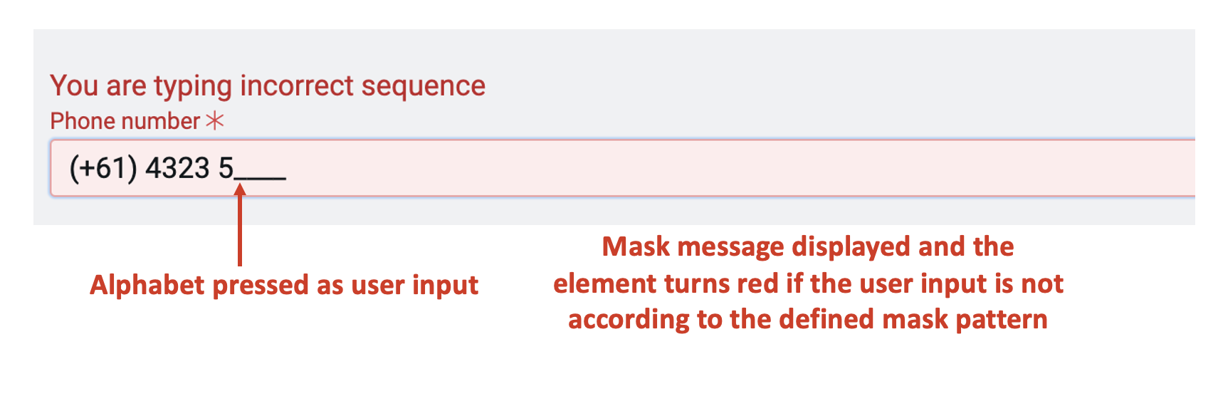 Image showing mask message displayed when user input is inconsistent with mask pattern